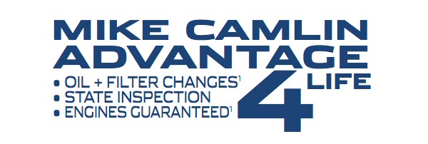 MikeCamlinAdvantageGraphic.png