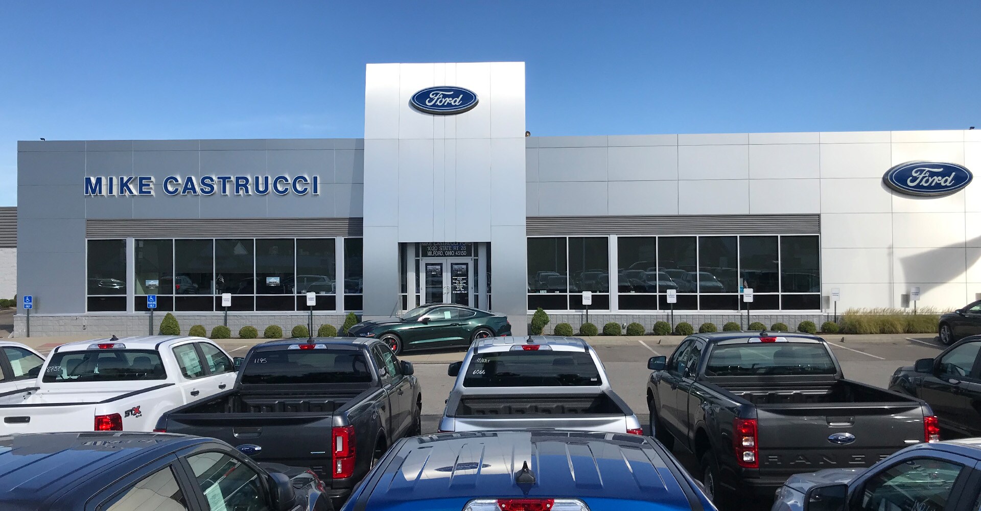 Mike Castrucci Ford