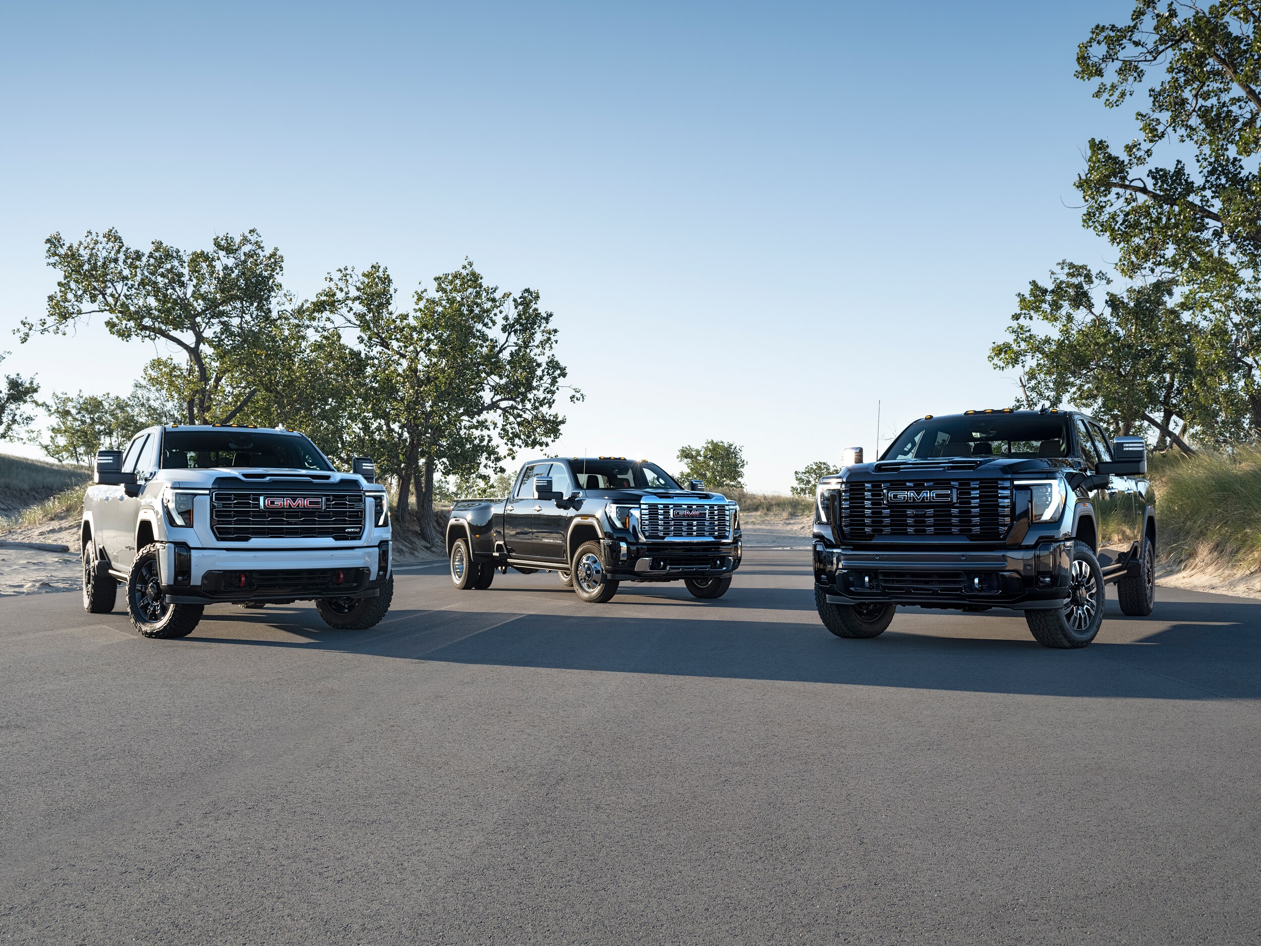 cars with city background