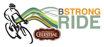 BStrong Logo.gif