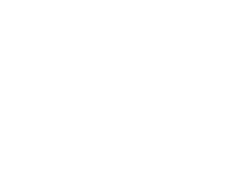 4ca8964c56ca44ec98e62040b03e9969_c1x0-798x600.png