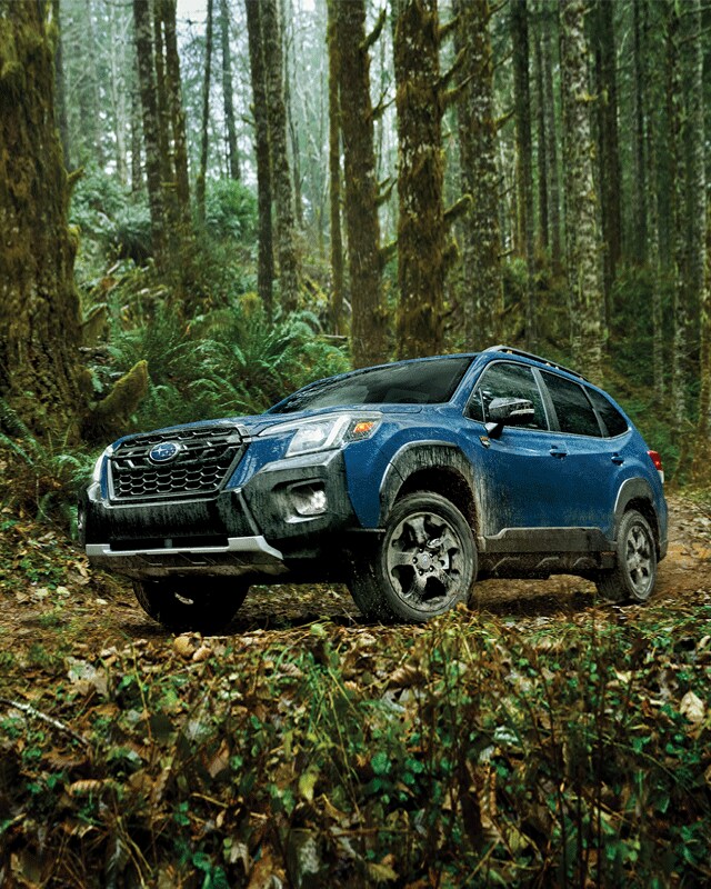 FORESTERW-640.png