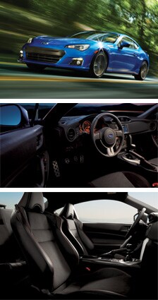 top-image-224x425.jpg