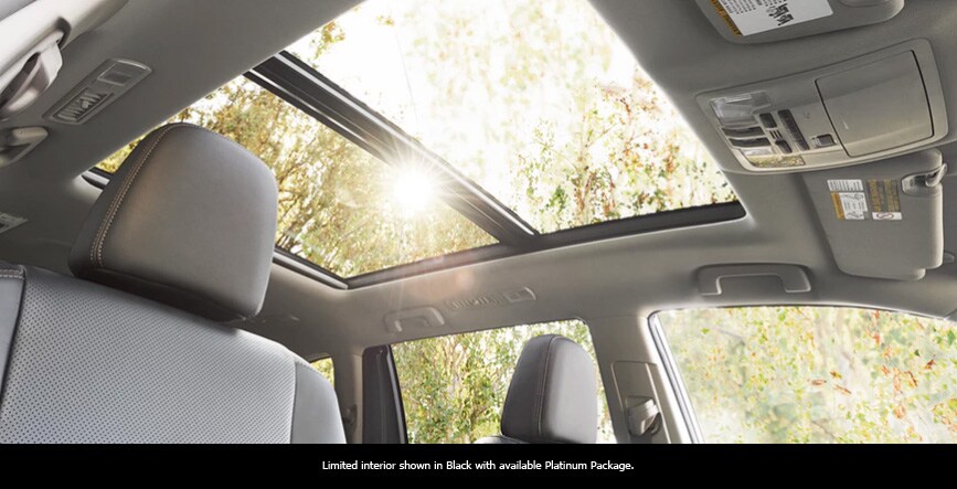 PanoramicMoonroof.jpg