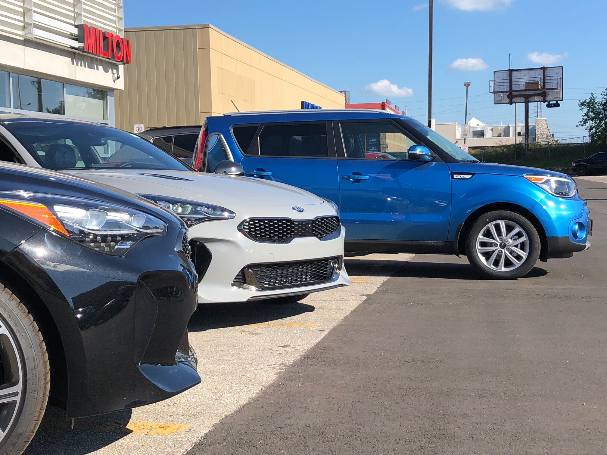 milton kia stinger grills.jpg