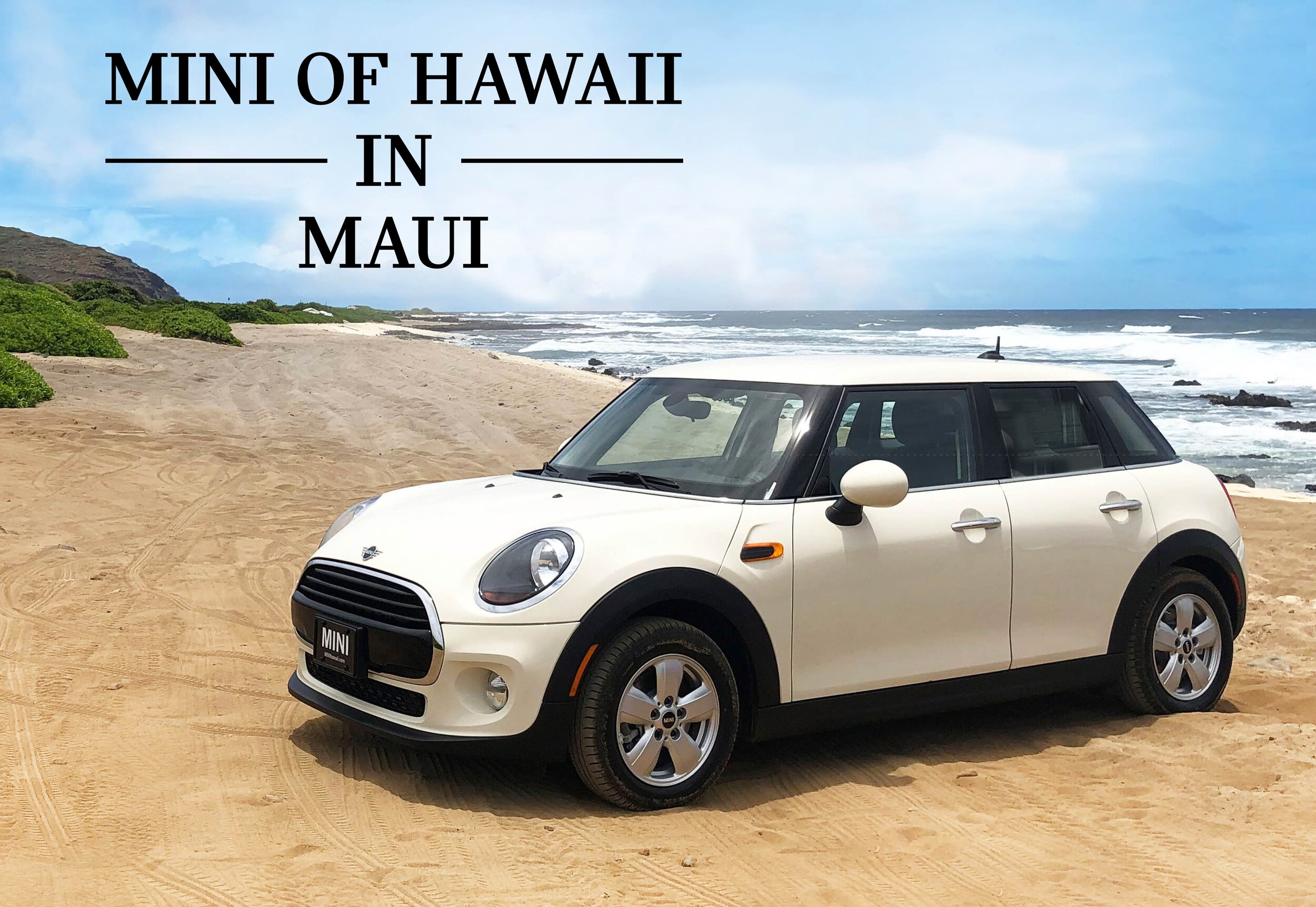 MINI OF MAUI w text.jpg