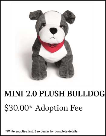 MINI_Bulldogs.jpg