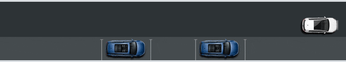 2019 Volkswagen Beetle Park Distance Control