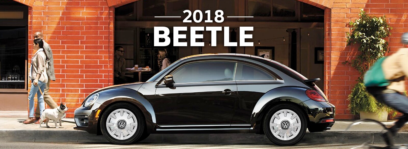 2018 Beetle Header