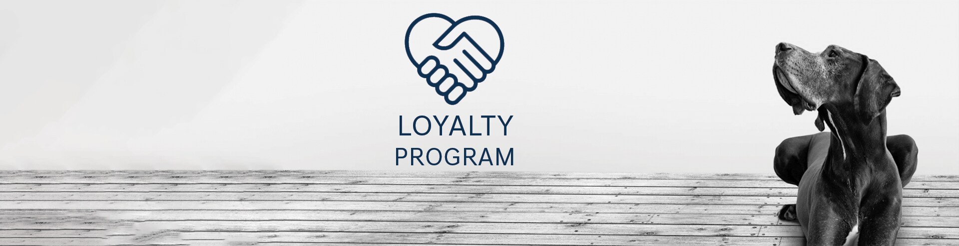 Loyalty Program.png