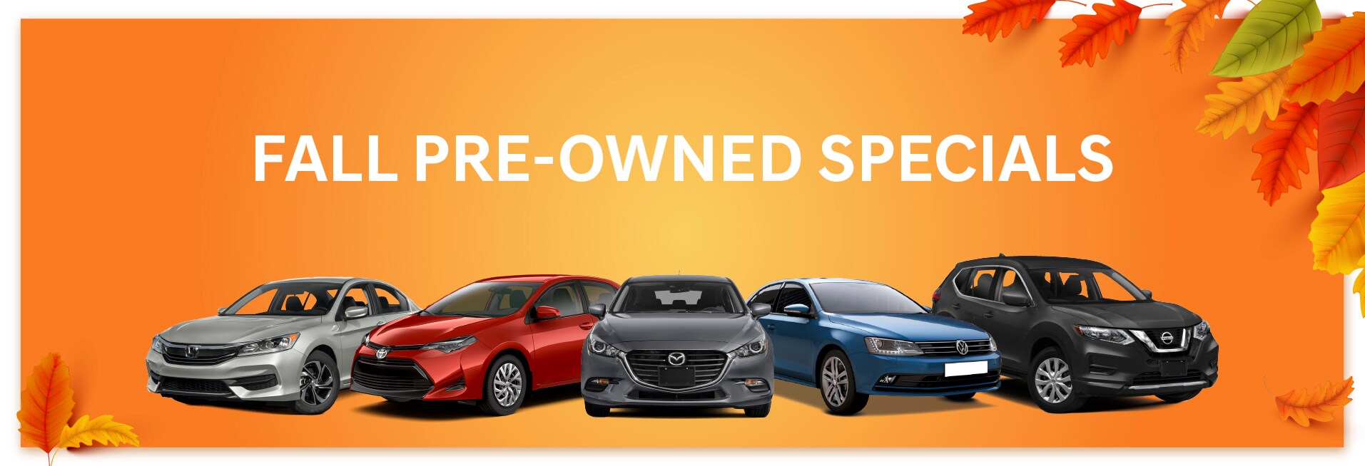FALL SPECIALS