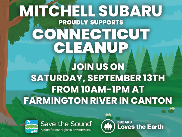 CT_Cleanup_2024_Digital_Mitchell%20600X450.png