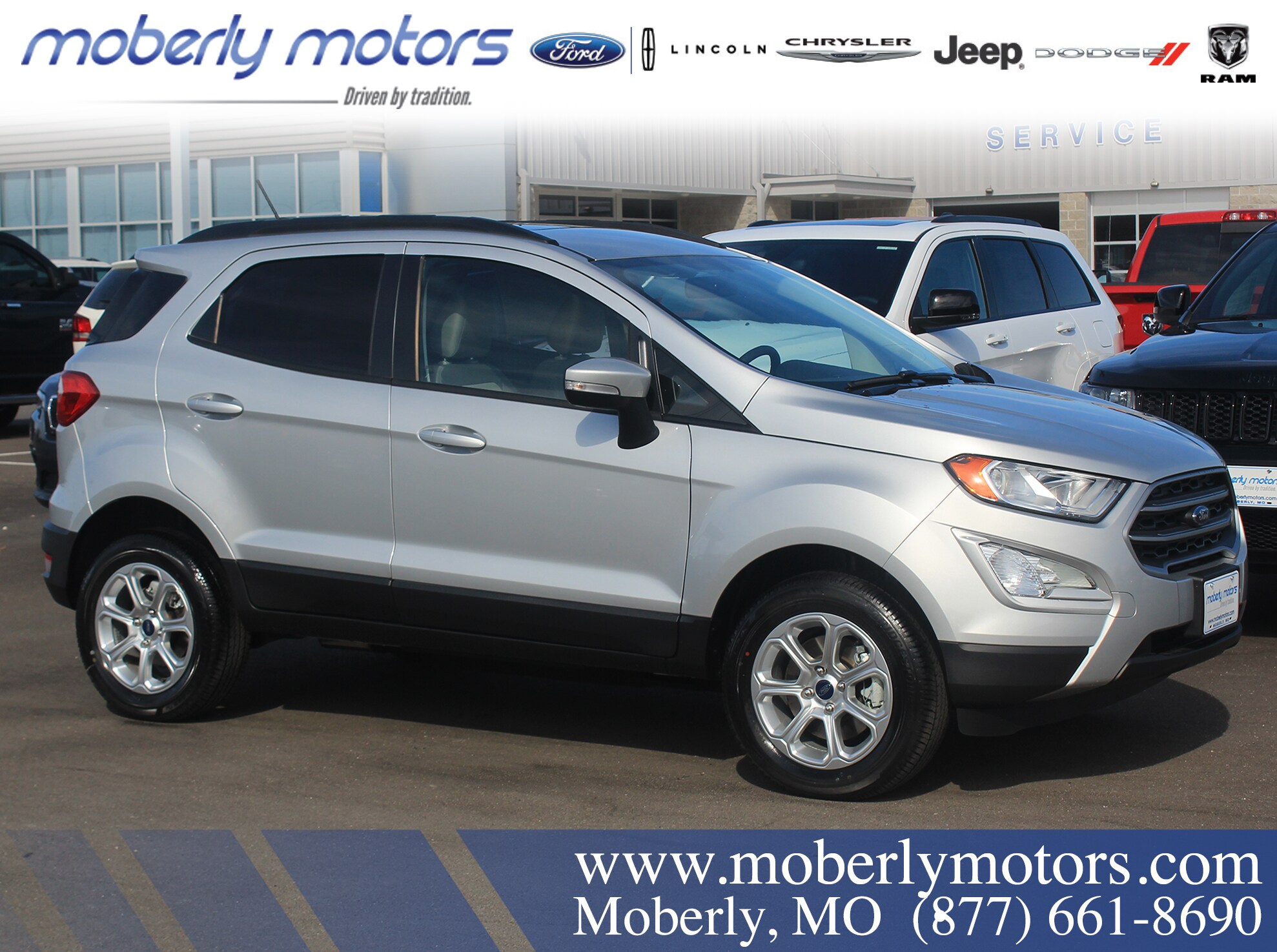 Rental Fleet EcoSport.jpg