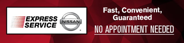 Nissan Express Service