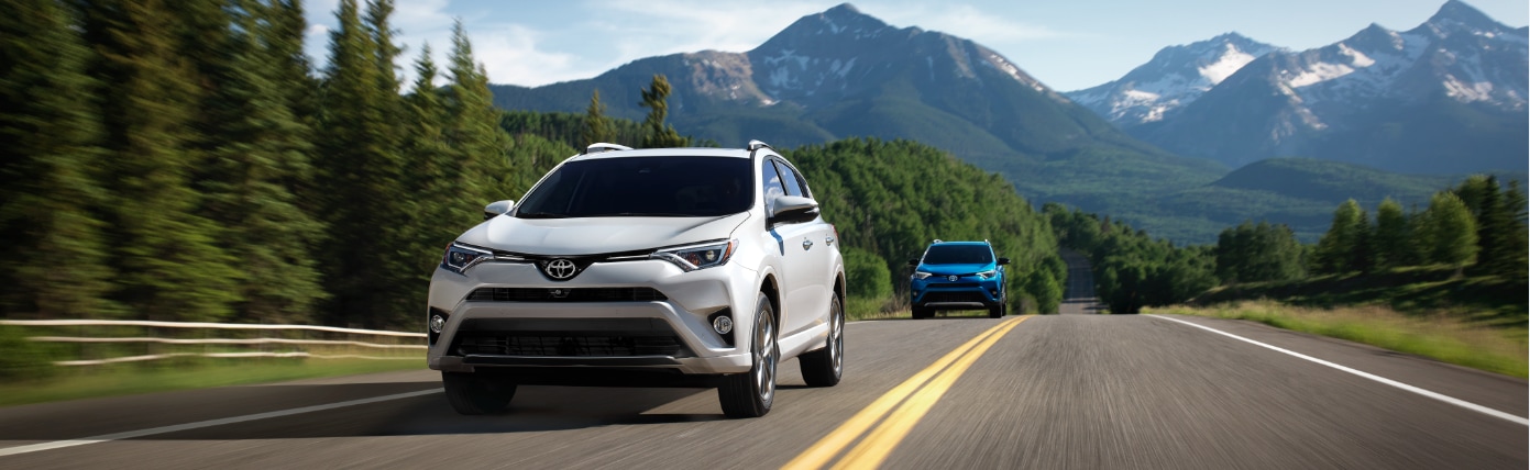 2017 Toyota RAV4 North Carolina