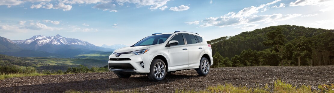 2017 Toyota RAV4 North Carolina