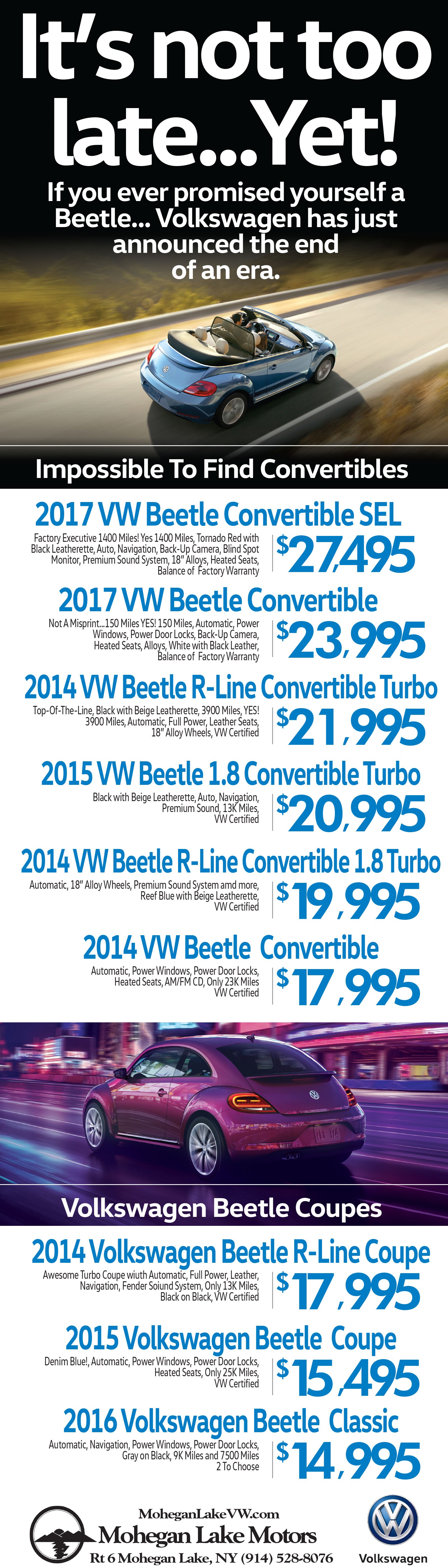MLM-VW-BEETLE-BLAST-418 (002).jpg