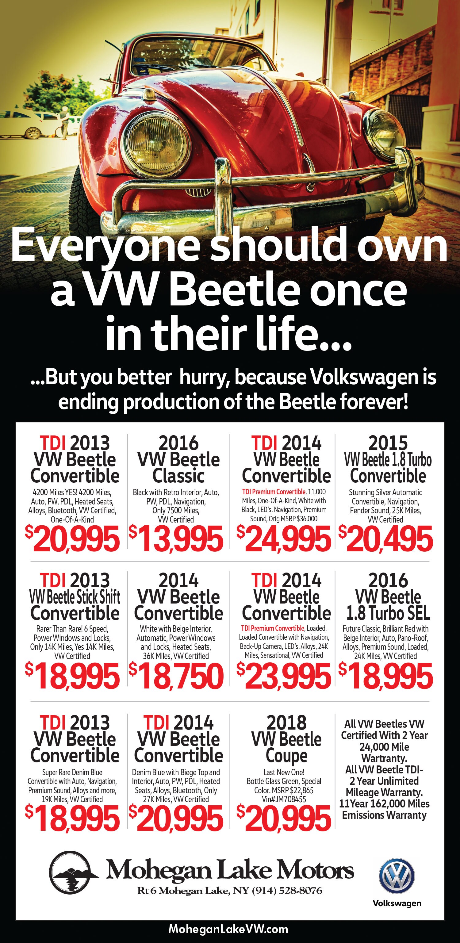 MLM-VW-BEETLE-622JN.jpg