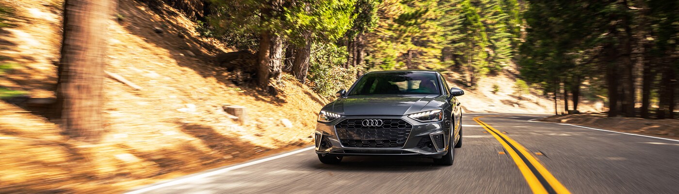 Audi A4 Audi A4 driving in a sunny forest
