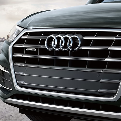 Audi Q5 grille