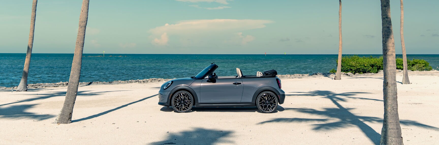 Convertible---Momentum-MINI.jpg