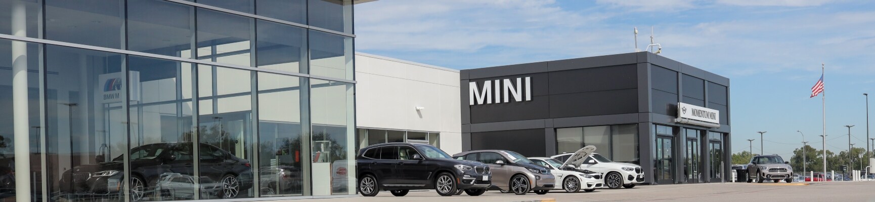 Momentum MINI