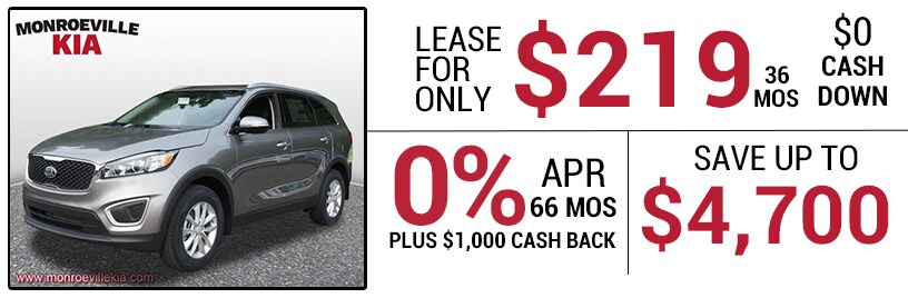 17Sorento.jpg