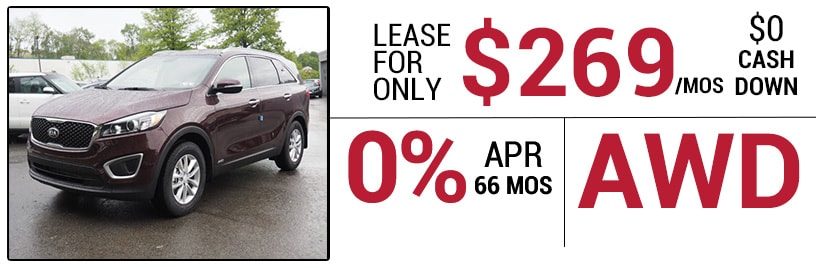 17Sorento.jpg