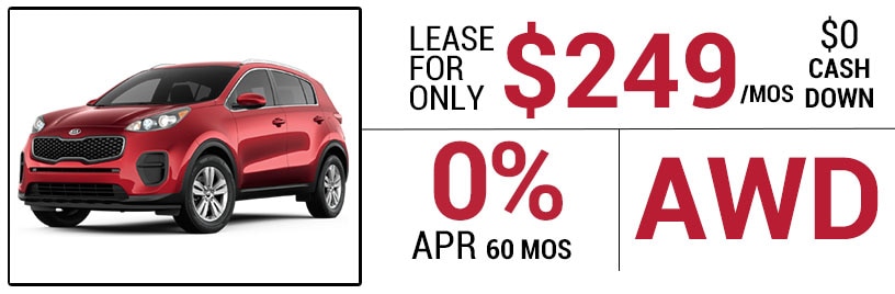 17Sportage.jpg