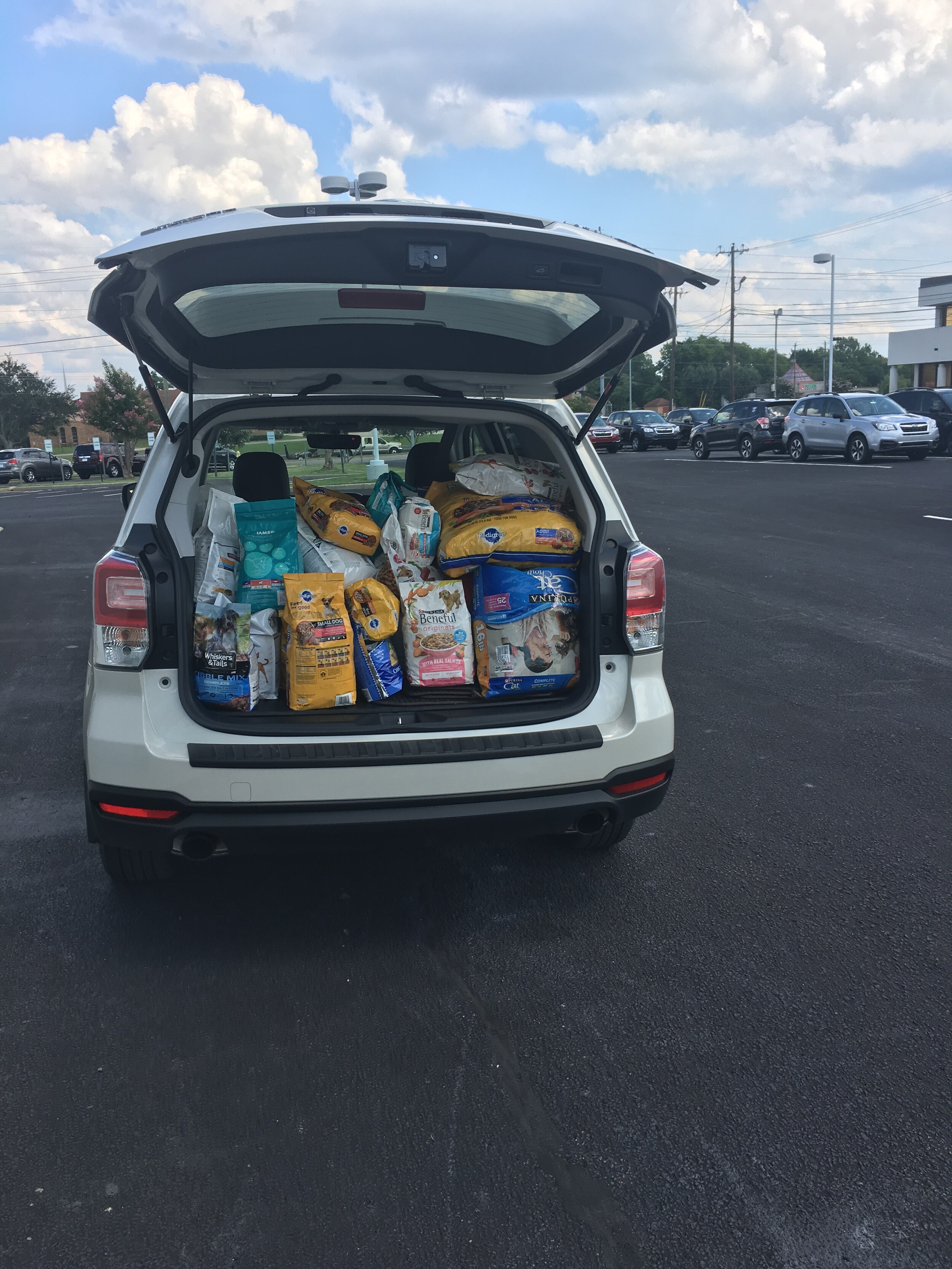 Car Pet Food.JPG