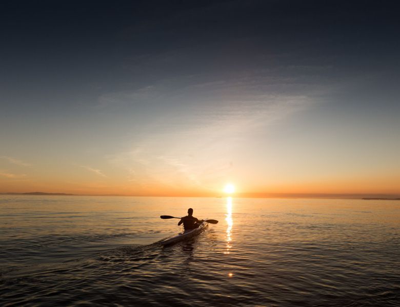 paddle-780x600.jpg