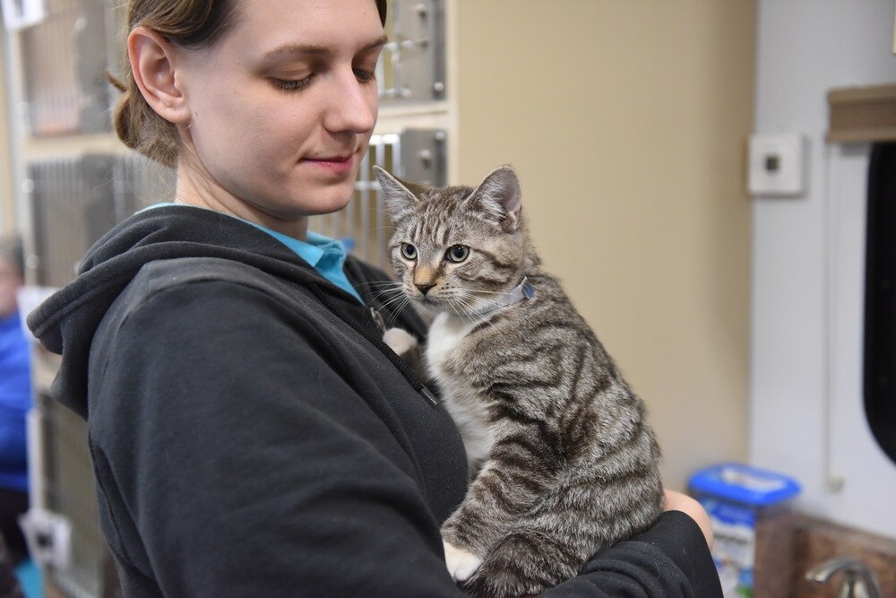 Lorain County, OH | Best Places to Volunteer