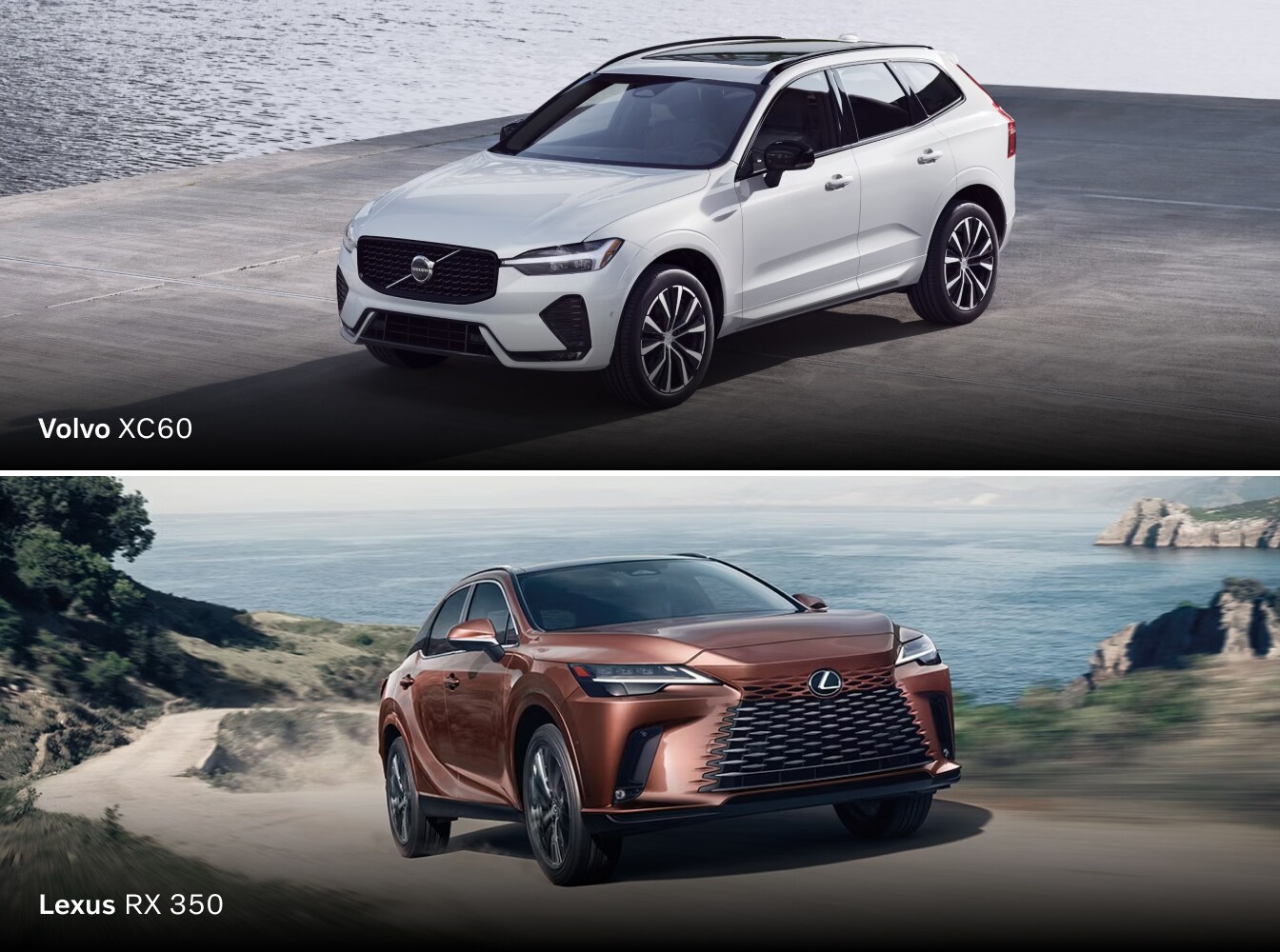 Side by Side: The Luxury Volvo XC60 vs. Lexus RX 350