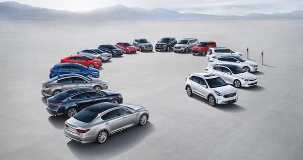Affordable Cars in Colorado and Wyoming.jpg