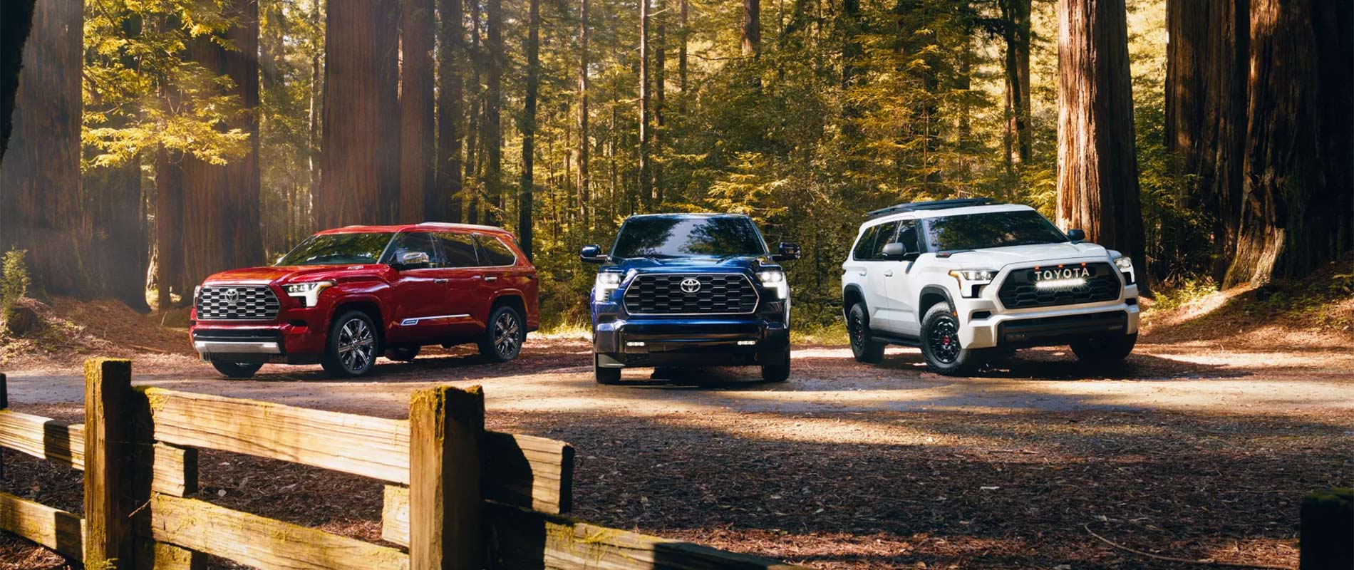 New Toyota Models for Sale in Morgan City 2025 Toyota Sequoias in the forest