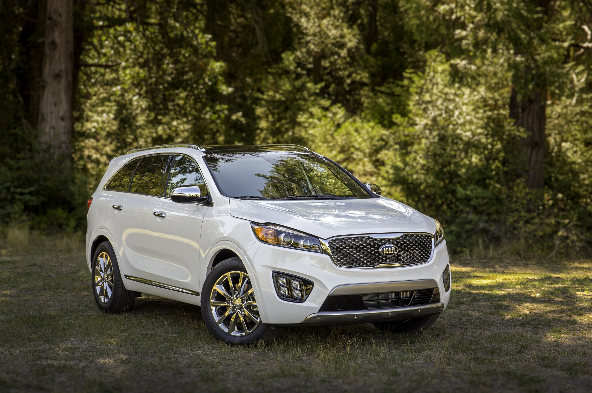 sorento 2017.jpg
