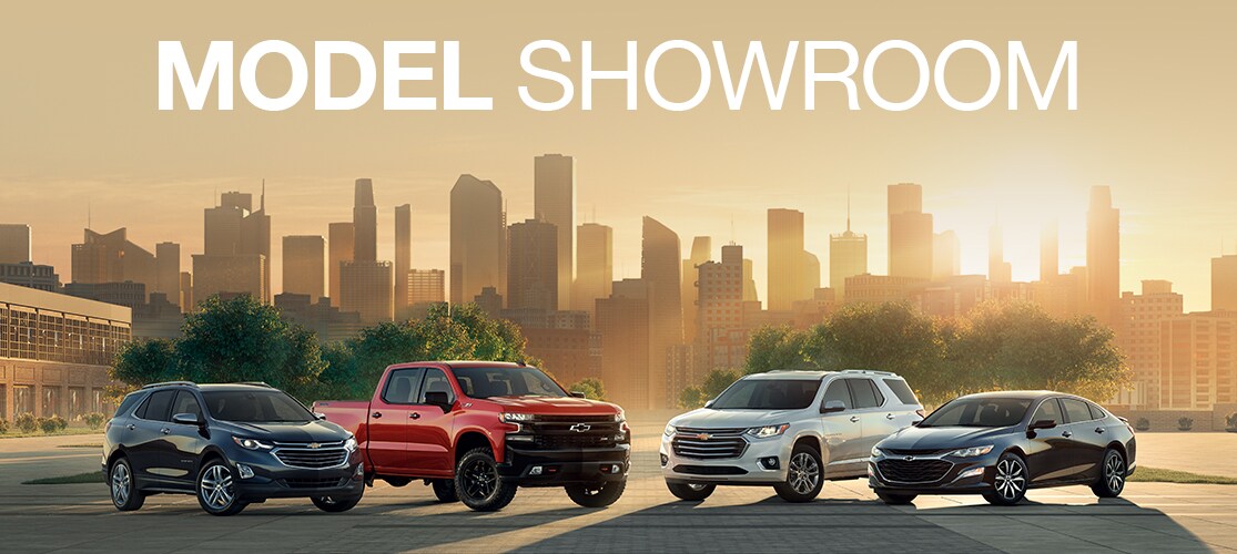 Model Showroom Model Showroom