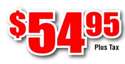 54_95_red.png