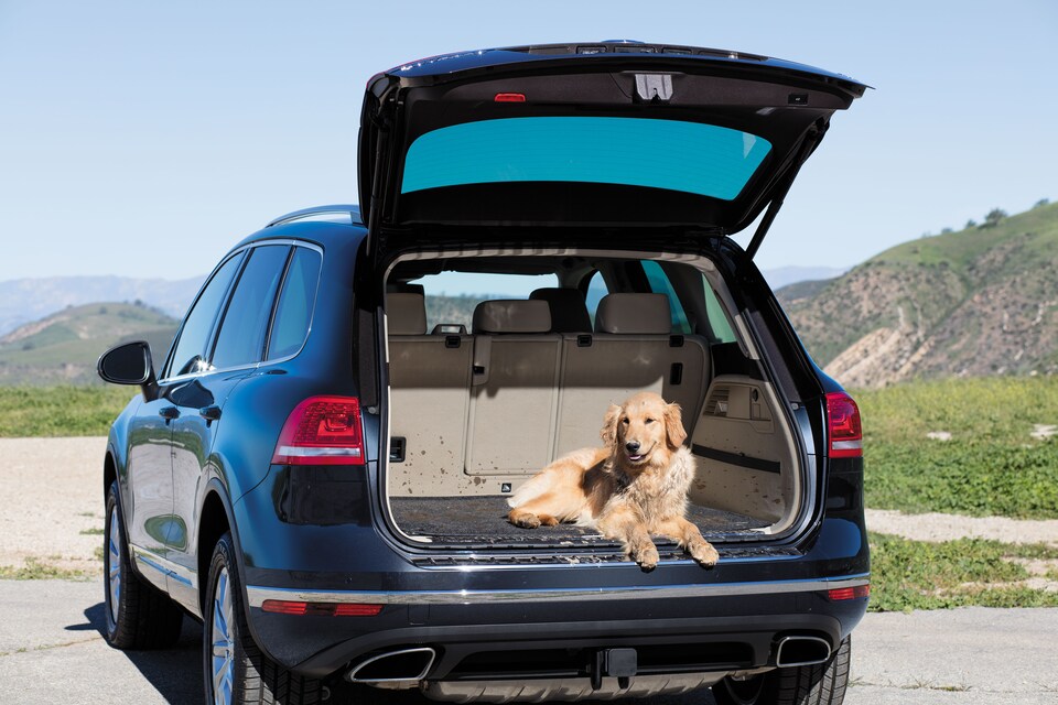 Volkswagen-Lifestyle-44.png