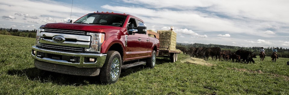 2020 Ford F-250 For Sale in Virginia