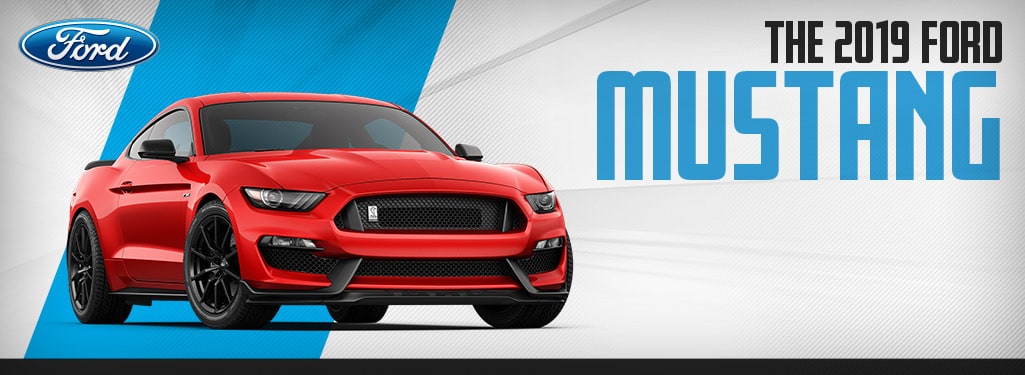 2019 Ford Mustang 2019 Ford Mustang