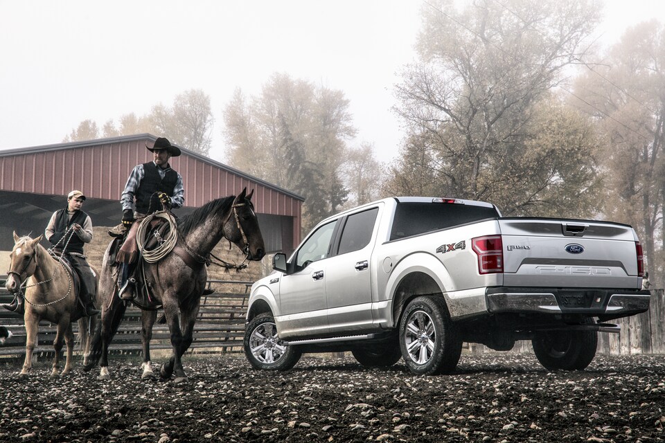 2018 Ford F150 XLT CrewCab Truck.png