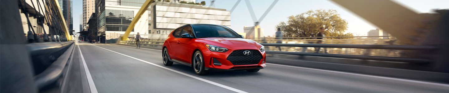 2019 veloster.jpg