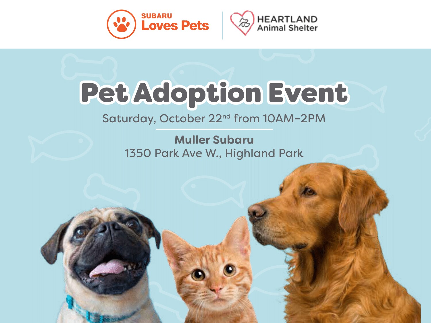 MAGSU-0922-016002-1-Pet Adoption GBP Post-540x405-1.png