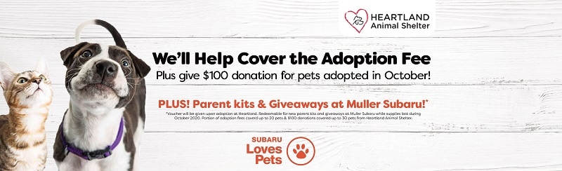 musub-0920-236895-PetAdoption-Generic-HP-1800x550-v3 (2)-1.jpg