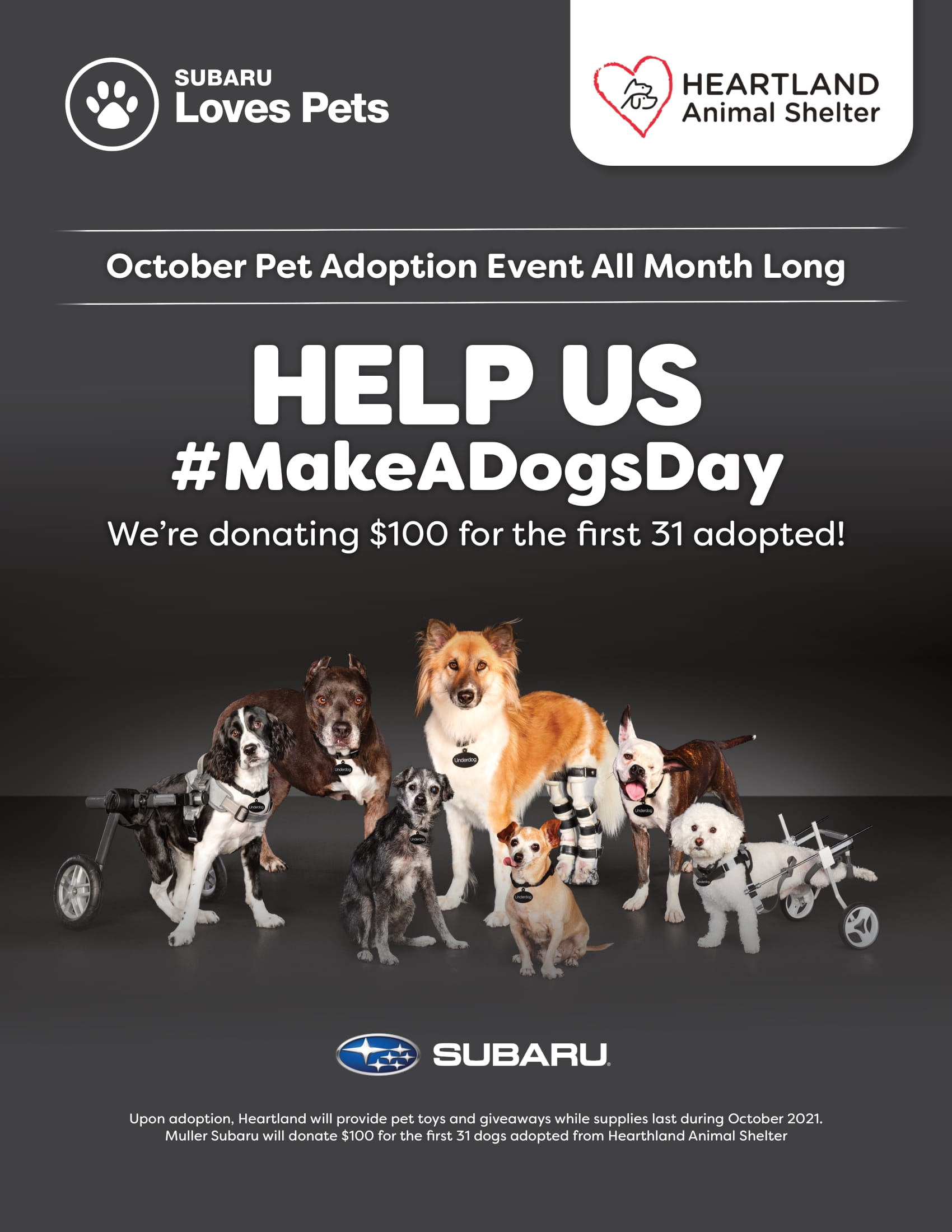 magsu-0921-005100-AdoptionEvent-8_5x11-1.jpg