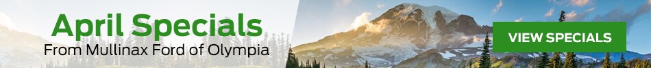 banner.png