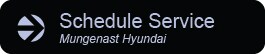 MAF-Schedule-Service-Hyundai.jpg Schedule Service at Mungenast Hyundai