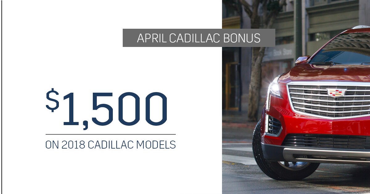 cadi-apri-bonus-spons.png
