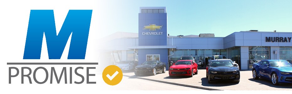 m promise header.jpg